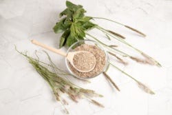 Psyllium Husk vezels Psyllium Husk vezels