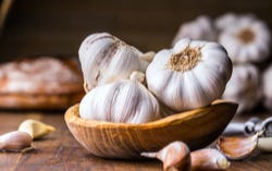Knoflookbollen Knoflookbollen