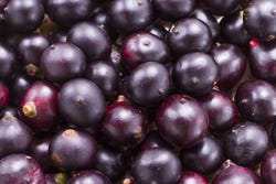 Açai-bessen Açai-bessen