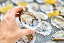 Verse oesters Verse oesters