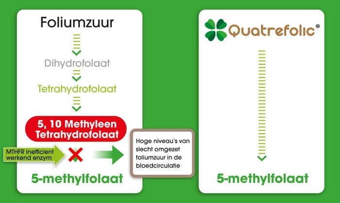 Quatrefolic diagram