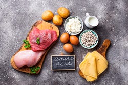 Voeding met aminozuren Voeding met aminozuren