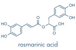 Rozemarijnzuur