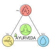 Schema van de Ayurvedische dosha's Schema van de Ayurvedische dosha's