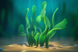 Spirulina plantje in water Spirulina plantje in water