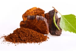 Chaga en chagapoeder Chaga en chagapoeder