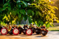 Mangosteen vruchten neergelegd Mangosteen vruchten neergelegd