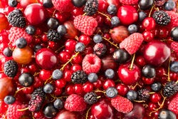 Allemaal soorten rood fruit Allemaal soorten rood fruit