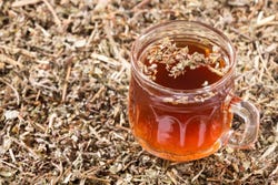 Thee van gedroogde Chanca piedra Thee van gedroogde Chanca piedra