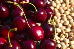 Kersen en kersenpitten Kersen en kersenpitten