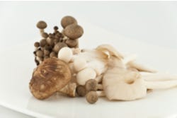 Verschillende paddestoelen Verschillende paddestoelen