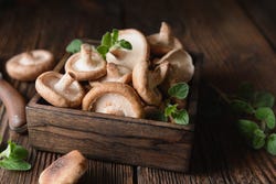 Kistje met verse shiitake