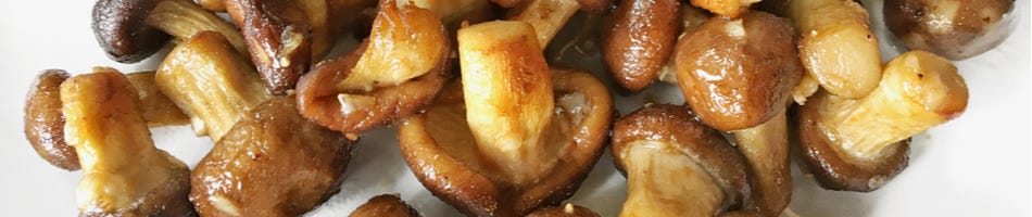 Geglaceerde shiitakes met honing en sesam Geglaceerde shiitakes met honing en sesam