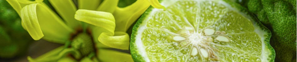 Proseccogelei met bergamot en mascarponecrème Proseccogelei met bergamot en mascarponecrème
