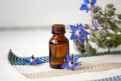 Borage-olie Borage-olie