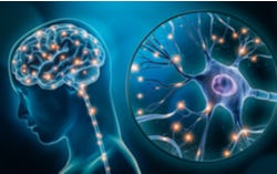 Neurotransmitters Neurotransmitters
