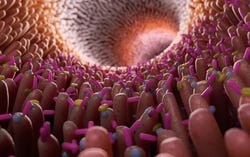 Een gezond microbioom Een gezond microbioom