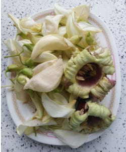 Gerecht met de Indiase trompetboom Gerecht met de Indiase trompetboom