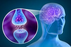 Sabroxy® Focus optimaliseert de communicatie van neurotransmitters Sabroxy® Focus optimaliseert de communicatie van neurotransmitters