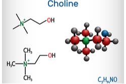 Cholinemolecuul Cholinemolecuul