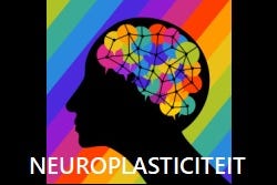 Grafische afbeelding neuroplasticiteit Grafische afbeelding neuroplasticiteit