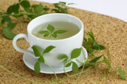 Gynostemma- of jiaogulanthee Gynostemma- of jiaogulanthee