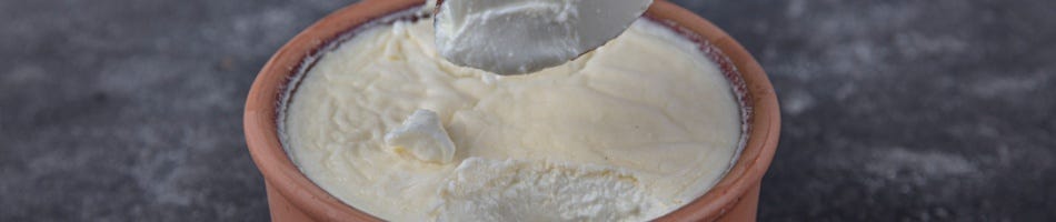 Probiotische yoghurt van rauwe melk Probiotische yoghurt van rauwe melk