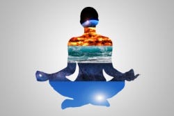 Ayurvedisch personage Ayurvedisch personage