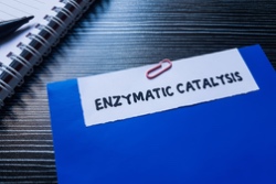 Map met tekst over enzymen Map met tekst over enzymen