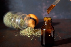 Gedroogde oregano met oregano-olie