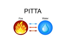 Afbeelding van Pitta Afbeelding van Pitta