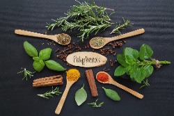 Plantaardige stoffen met polyfenolen