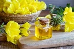 Teunisbloemen en teunisbloemolie Teunisbloemen en teunisbloemolie