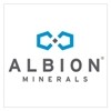 Logo Albion