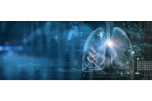 De menselijke longen