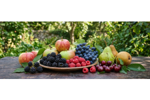 Groente- en fruitsoorten met verschillende kleurpigmenten
