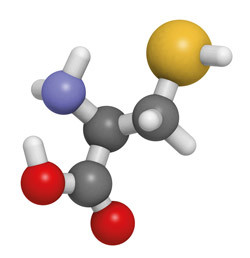 L-Cysteïne