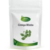 Ginkgo Biloba
