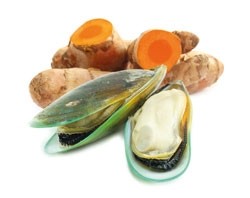 Groenlipmossel & Curcumine