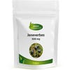 Jeneverbes