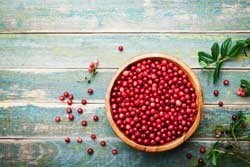 Wilde Lingon Bes Poeder Premium