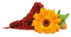 Luteïne-Astaxanthine