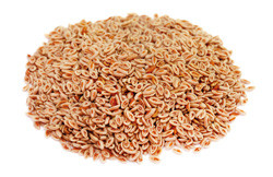Psyllium Husk vezels