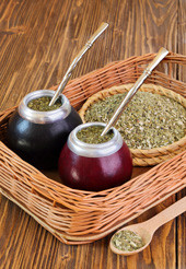 Yerba mate