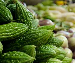 Bitter melon-extract