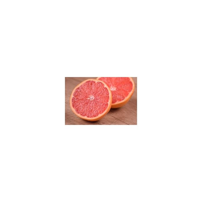 タペストリー 5本 セット まとめ しんたろー GRAPEFRUIT タペストリー