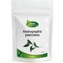 Andrographis extract