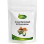 Groenlipmossel en Curcumine