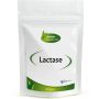 Lactase