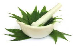 Neem Extract